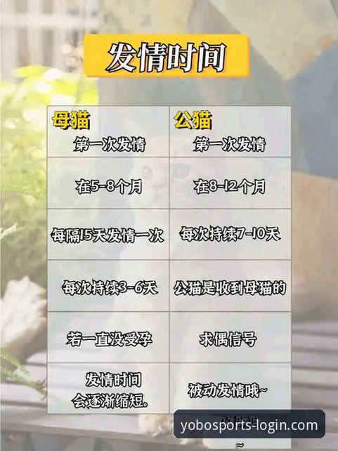 yobo体育登录不了攻略 yobo体育登录不了怎么办?这些实用攻略帮你解决问题
